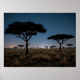 Poster African Savanna Acacia Trees Stars Night Landscape