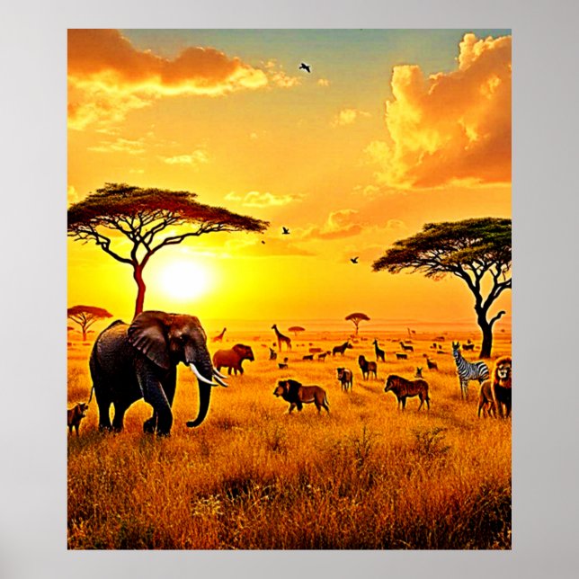 Poster African Sunset Safari Majestade Design (Frente)