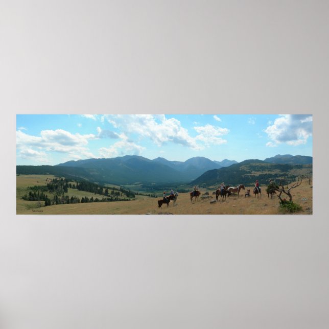 Pôster Afternoon at Sweegrass (Frente)