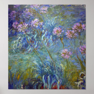 Poster Agapanthus, Monet