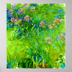 Poster Agapanthus por Claude Monet