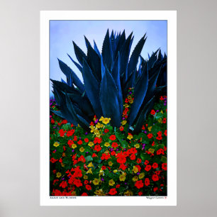 Pôster AGAVE e FLORES - COSTA de CALIFÓRNIA