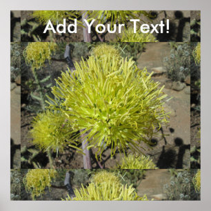 Poster Agave Giant Flower Cluster