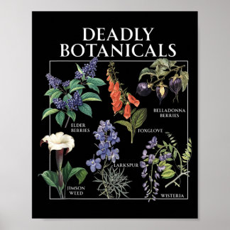 Poster Agência Governamental Botânicos Herbologia Flor