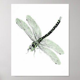 Poster Agender Pride Vintage Dragonfly Art