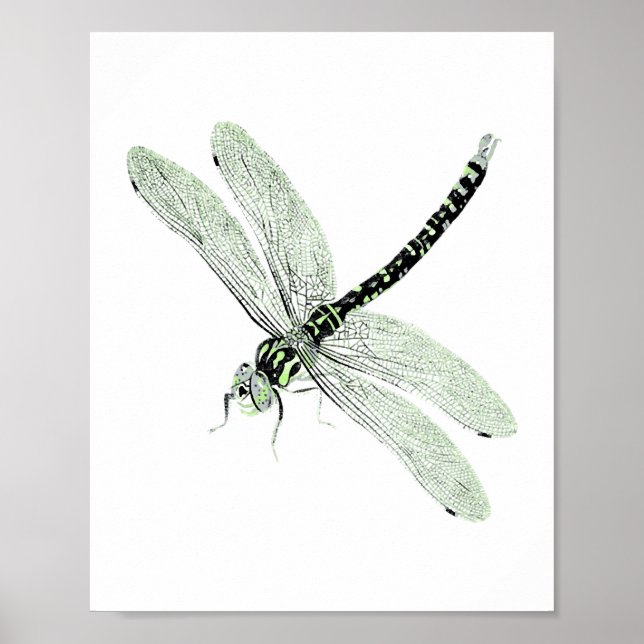 Poster Agender Pride Vintage Dragonfly Art (Frente)