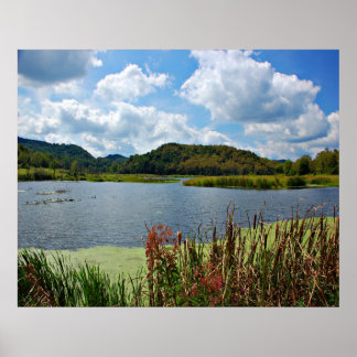 Poster Agradável Creek