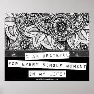 Pôster Agradeço O Iluminismo