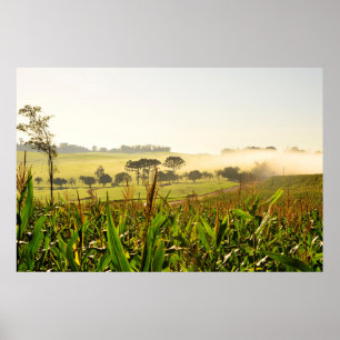 Poster Agricultura Brasil