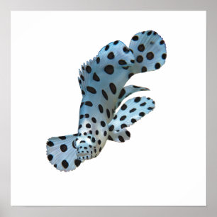 Poster Agrupamento - Design abstrato - Cortar de uma foto