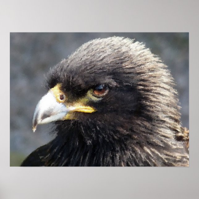 PÔSTER ÁGUA (Frente)