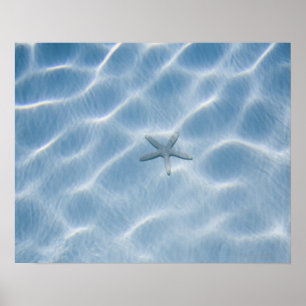 Pôster Água azul Rippled com estrela do mar
