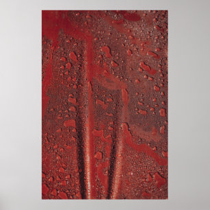 Poster Água cai no capô vermelho