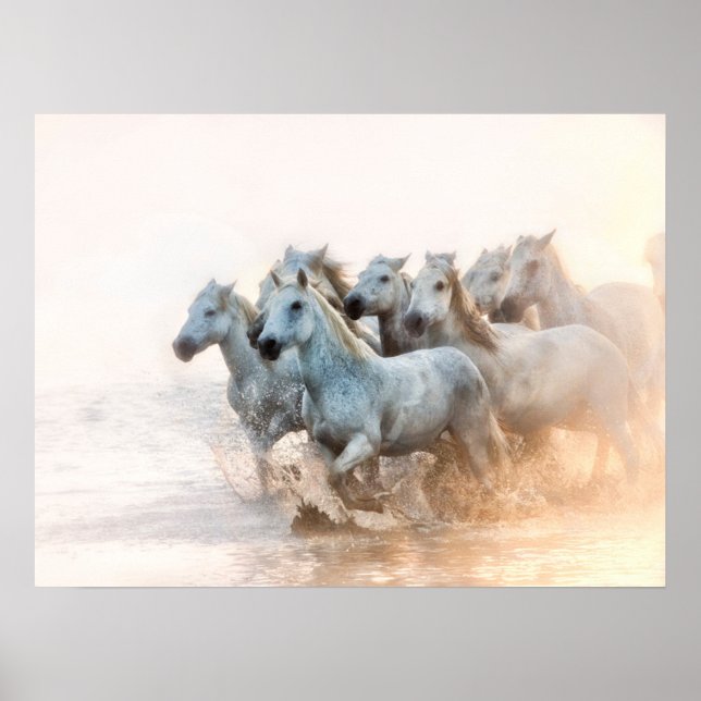 Poster Água do Mediterrâneo em Sunrise (Frente)