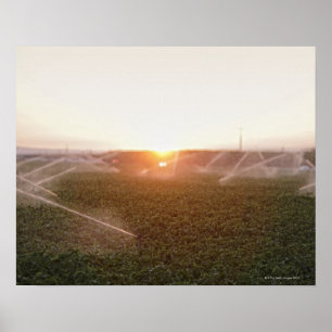 Pôster Agua do sistema de irrigação agrícola
