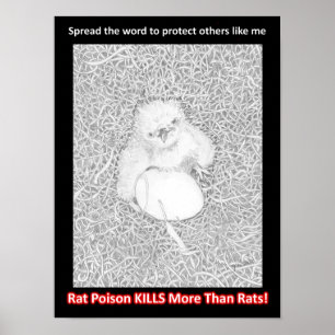 POSTER ÁGUA E14 DIZ PROTEGER VIDA SELVAGEM SALVAR VIDAS