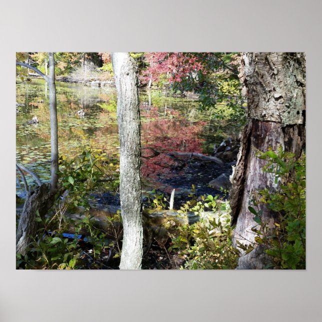 Poster água e árvores (Frente)