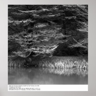 Pôster Água e Árvores perto de UC San Francisco, 1966