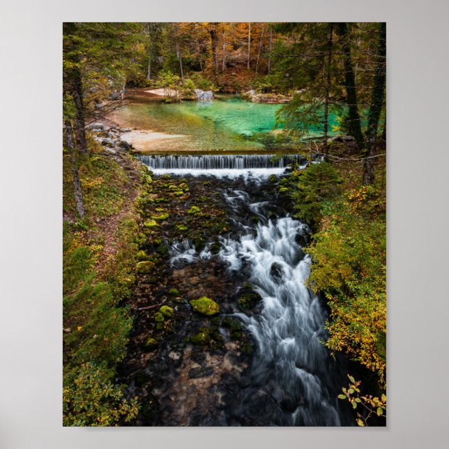 Poster Água fluindo através da floresta de outono (Frente)