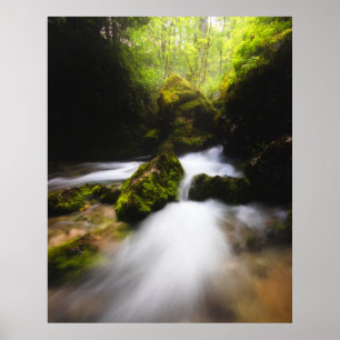 Poster Água fluindo pela floresta encantada da mossia