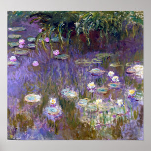 Poster Água Lily Pond, Monet
