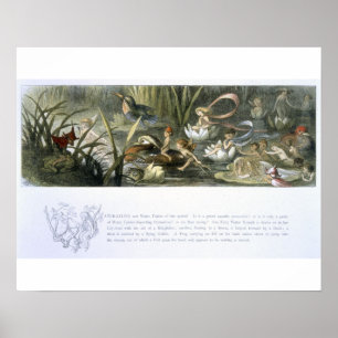 Pôster Água-Lírios e fadas da água, ilustração de