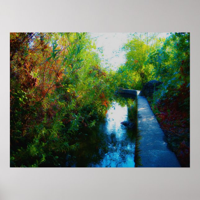 Pôster Água Pintada (Frente)