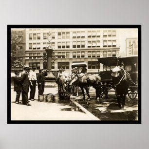 Pôster Água potável dos cavalos na Nova Iorque 1911