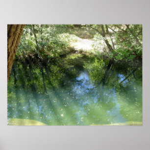 Poster água psicodélica trippy