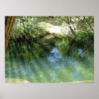 Poster água psicodélica trippy