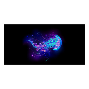 Pôster Água-viva brilhante a cores