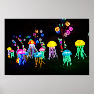 Poster Água-viva de Luzes