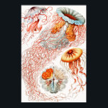 Poster Água-viva, Disco de Ernst Haeckel<br><div class="desc">Água-viva,  Disco Scheibenquallen por Ernst Haeckel Poster</div>