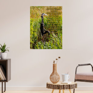 Poster Água viva John 4 Inspiron