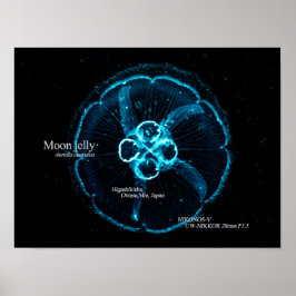 Poster Água-viva Lua no Espaço Subaquático