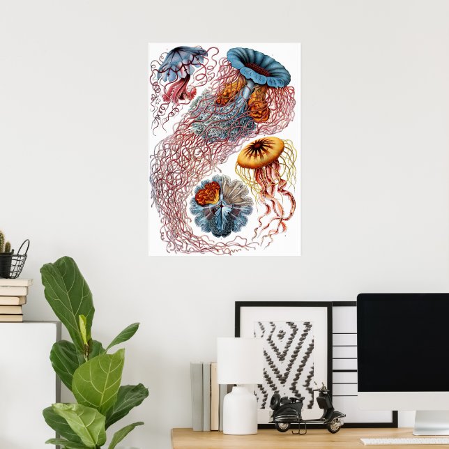 Poster Água-viva Vintage por Ernst Haeckel, Discomedusae (Escritório em casa)