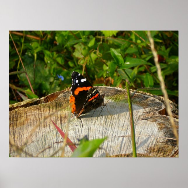 Poster Aguardando (Frente)