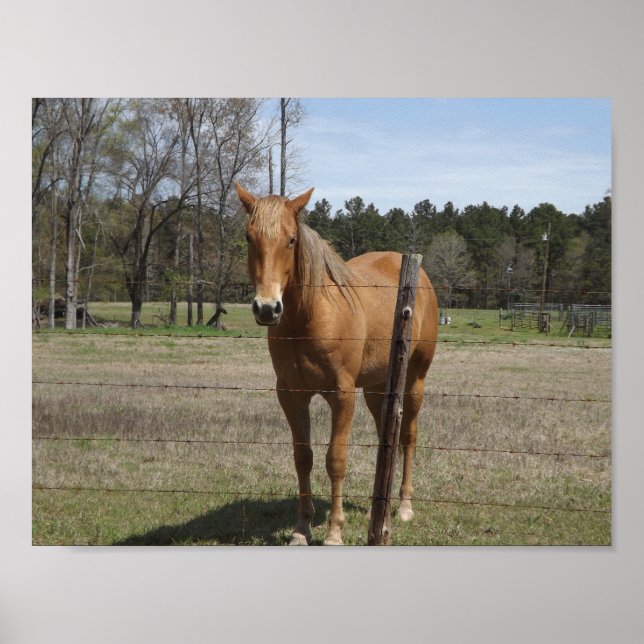 Pôster Aguardando (Frente)