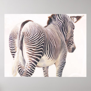 Poster "Aguarela dos animais selvagens da zebra da