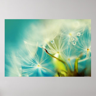 Pôster Águas para Baixo