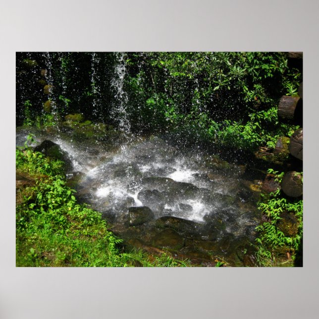 Poster Águas Shimmering (Frente)