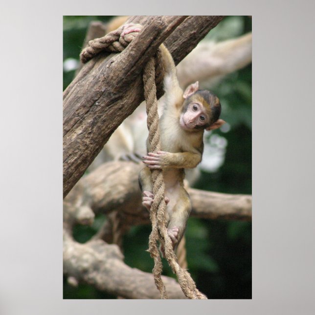 Pôster Aguente aí (Frente)