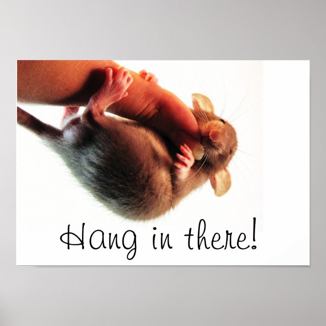 Poster Aguente aí Rato (Frente)