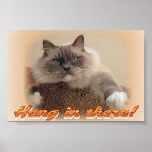 Pôster Aguente firme! (Frente)