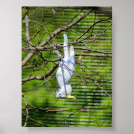 Poster Aguente firme