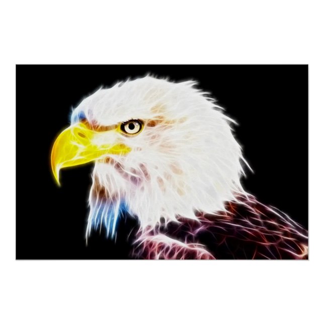 Pôster Águia (Frente)