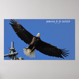 Poster Águia