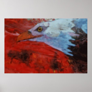 Poster Águia 1