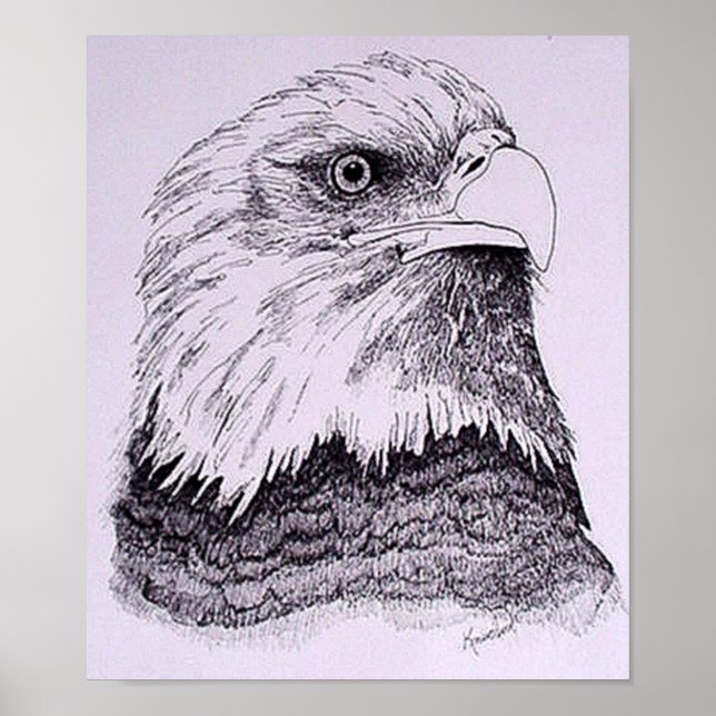 Pôster Águia Americana (Frente)