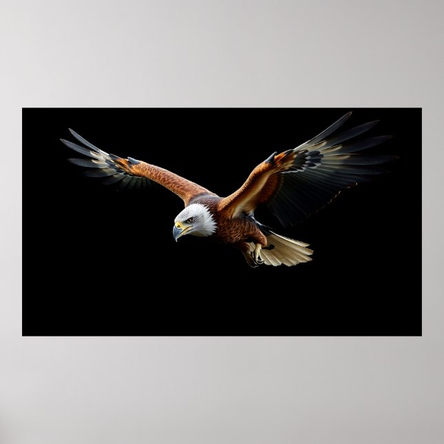Poster 🦅 Águia Americana Ataca - Poder Majestoso (Frente)